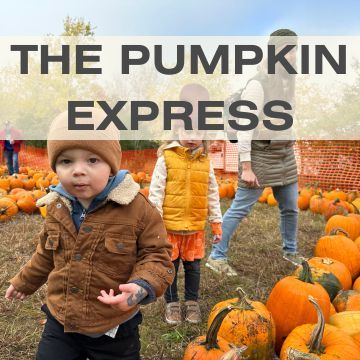 The Pumpkin Express Train